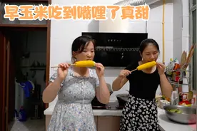 鸽子早就惦记娘家种的玉米，刚熟就去掰点回来，煮上一大锅真香视频封面