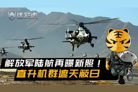 崇山峻岭群鹰呼啸！解放军14架直升机同屏起飞，陆航发展突飞猛进