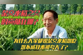 为啥大家说杂交水稻不好吃？袁隆平对国家的贡献在哪？技术被夸大视频封面