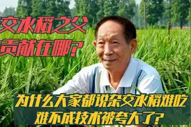 为啥大家说杂交水稻不好吃？袁隆平对国家的贡献在哪？技术被夸大视频封面