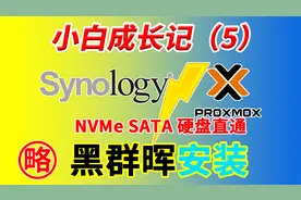 小白成长记5 PVE黑群晖7.1 NVMe SATA直通硬盘 N5105黑群安装教程视频封面