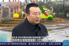 江苏苏州14个园林免费，公交地铁免费坐，鼓励就地过年视频封面
