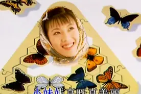 九十年代老歌：赵鹏《花蝴蝶》视频封面