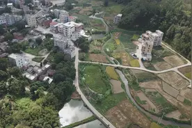 两倍跨越 两广交界小山村的致富“逆袭路”视频封面