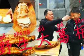 阿标地里挖的葛根终于切开晾晒了，里面白白的像地瓜，大家见过吗视频封面