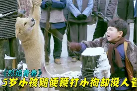 5岁男孩虐狗没人管，男人出手教训，结果给自己惹上大麻烦，影视视频封面