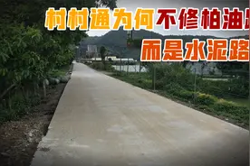 村村通为何修的是水泥路，而不修柏油路？不止节约成本这么简单视频封面