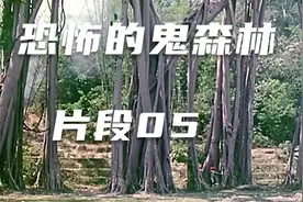 恐怖的鬼森林片段05：大陆怀旧抗战老片视频封面