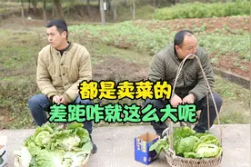 搞笑剧：都是一样的方法卖白菜，咋差距就这么大呢，爆笑！视频封面