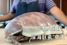 深海巨虱是什么味道？日本顶级大厨秀操作，吃下后坐不住了！视频封面