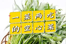 所谓啫啫煲就是暴力使用砂锅，第一次尝试就拿空心菜开刀