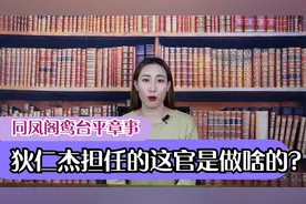 狄仁杰担任的“同凤阁鸾台平章事”到底是多大的官？视频封面