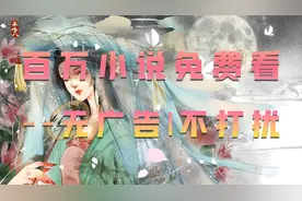 百万小说免费看，无广告不打扰，安静看小说视频封面