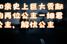 和亲史上巨大贡献的两位公主—细君公主、解忧公主视频封面