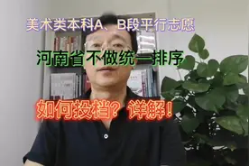 美术类本科A、B段平行志愿河南省不做统一排序，如何投档？详解！视频封面