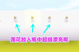 迷你世界夏墨解说：制作瓶中花的教程，莲花放入瓶中超级漂亮呢视频封面