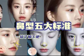 鼻型的五大标准