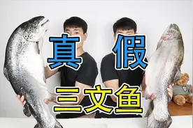 真的有假三文鱼吗？靓仔拿真三文鱼对比虹鳟鱼，最后自己都分不清视频封面