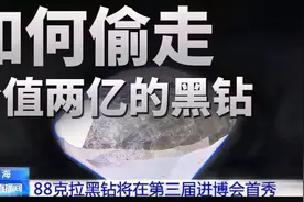 如何偷走上海进博会那颗价值2.6亿元的黑钻？视频封面