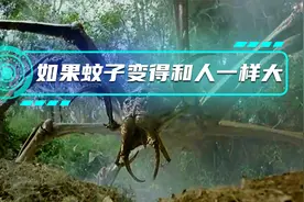 如果蚊子变得和人一样大会怎么样？视频封面