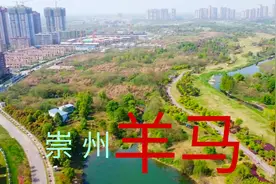 四川崇州，经常被人小看的羊马现已杂草变景区地产变景区视频封面