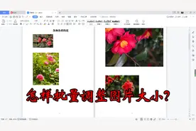 WPS文档怎样批量调整图片大小？两种方式，可一键完成视频封面