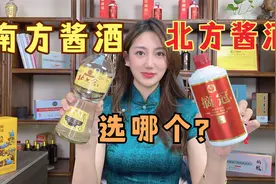 酱酒：北派和南派有什么不同？酒妹品尝对比，原来差距这么大视频封面