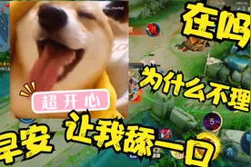 热爱105°的你歌曲（魔改舔狗版），看30秒不能笑来评论区🐴我视频封面