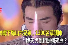二郎神麾下梅山六兄弟，1200名草头神，哮天犬他们是何来历？视频封面
