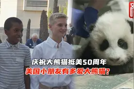中美共同庆祝大熊猫抵美50周年 听听美国小朋友有多爱大熊猫？视频封面