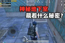 暗夜危机新玩法，躲在神秘地下室，丧尸居然不会攻击？视频封面