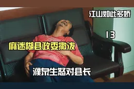 麻长顺到县政府撒泼，濮泉生怒怼县长视频封面