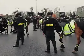 越南骑警部队罕见亮相，战马带着护膝和防护头盔出场视频封面