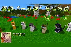 我的世界：mc猫的“一万种”使用方法