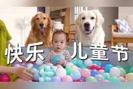 小宝宝与狗狗一起玩波波池？这个儿童节很难忘！视频封面