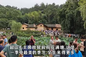 湖南盛夏七月，韶山毛主席故居前满池荷花，游客有序排队参观视频封面