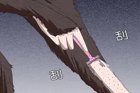 美女穿了皮草大衣后，她的身上就长出了浓密的毛发，怎么都剃不掉视频封面