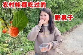 农村娃都吃过的野果，普通话野草莓，家乡话“泡”，你那叫什么？