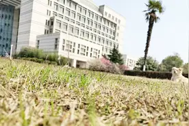 湖北中医药大学视频封面