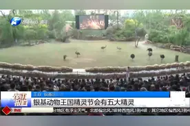 五一长假，郑州银基动物王国精灵巡演，带小孩体验冰雪世界糖果节视频封面