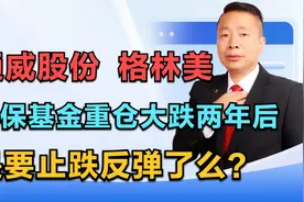通威股份 格林美  社保基金重仓大跌两年后  是要止跌反弹了么视频封面