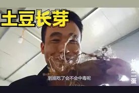 土豆发芽吃上会中毒？蛋嫂执迷不悟炒了一锅，一家人吃真捏一把汗视频封面