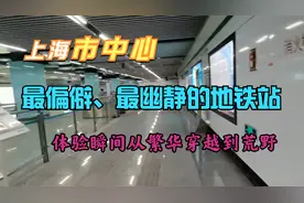 从繁华穿越到荒野，体验上海市中心最偏僻地铁站，讲述背后的故事视频封面