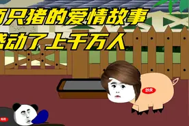 两只猪的爱情故事，感动了上千万人 #寓言故事 #沙雕动画#爱情视频封面