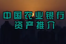 中国农业银行资产推介视频封面