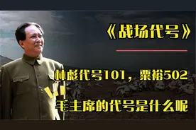 解放战争时，林彪代号是101，粟裕代号是502，那伟人的呢