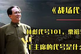 解放战争时，林彪代号是101，粟裕代号是502，那伟人的呢视频封面