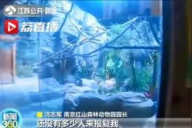 动物园园长：说好的疫情后报复性反弹呢？我很焦虑视频封面