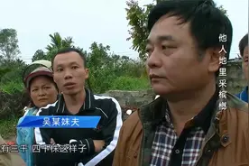 槟榔：保安擅自在公司地上种槟榔，扬言赔款600万，法官霸气执法视频封面