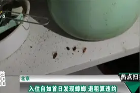 北京：入住自如首日发现蟑螂 退租算违约视频封面